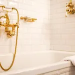 カラス ハウス 4*